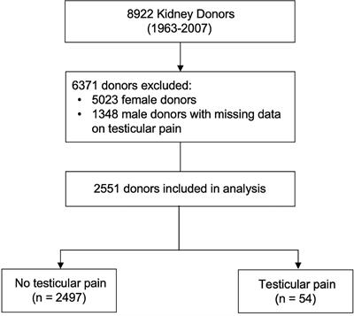 Incidence and correlates of testicular pain after kidney donation